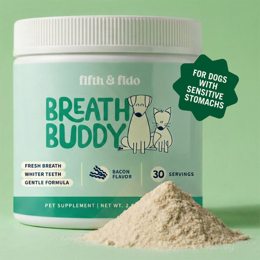 Breath Buddy Dental Powder